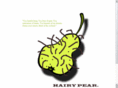 hairypair.com