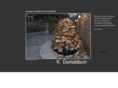 kdonaldson.net