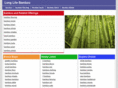 longlifebamboo.com