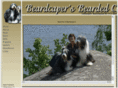 beardcapers.se