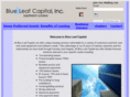 blueleaf-capital.com