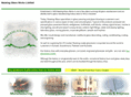 nazeing-glass.com