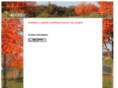 accessmarketingservice.com