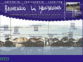 balneariolamagdalena.com