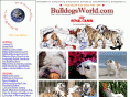 bulldoginfo.org