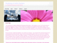 hollisgardenswedding.com
