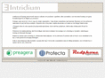 intridium.se