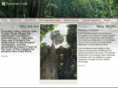 rainforestfund.org