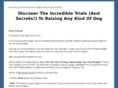 secretsofdogownership.com