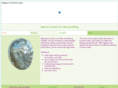 santacruzwebandediting.com