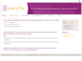 synerfia.com