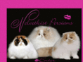 velvetkist.com