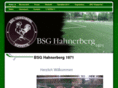 bsg-hahnerberg.com