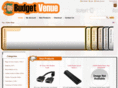 budgetvenue.com
