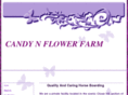 candynflowerfarm.com
