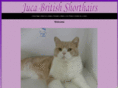 jucabritishshorthairs.com