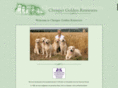 chrisper.com