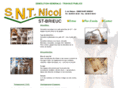 nicol-tp.com