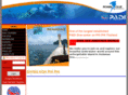 ronindive.com