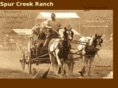 spurcreekcattleco.com