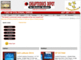 cheaptronicsdepot.com