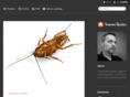 darrenhester.com
