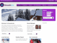 drouzinlets.com