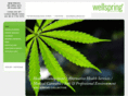 wellspring-collective.com
