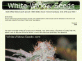 white-widow-seeds.com
