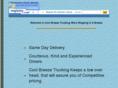 coolbreezetrucking.com