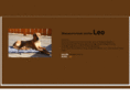 lookoutforleo.com