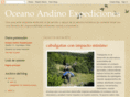 oceanoandino.com