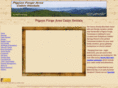 pigeonforgeareacabinrentals.com