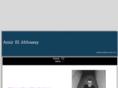 amirelabbassy.com