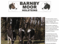 barnbymoorholsteins.com