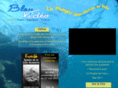 bleuvideo.fr