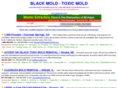 blackmold-toxicmold-removal.com