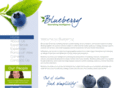 blue-berry.com