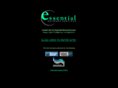 ensdallas.com