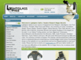 lightglassoptics.com