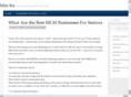 mlmbizblog.com
