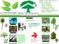 raleightreeservicepros.com