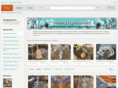 shininglightjewelry.biz