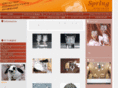 spring-ring.com
