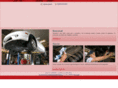 autofficinarevisioniras.com