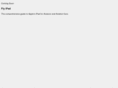 flyipad.net
