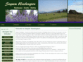 sequimwashington.biz