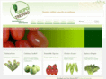 grupotrevino.com