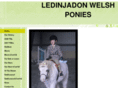 ledinjadonwelshponies.com