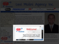 levimoliniagency.com